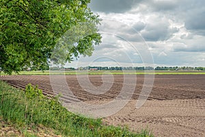 Earthed potato ridges on a Dutch field