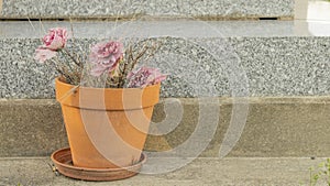 Earthen flower pot filled with fake weathered pink flowers close up on gravestone