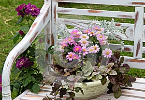 A earthen flowerpot with Chrysanthemum.