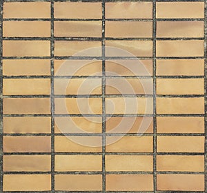 Earthenware floor tile