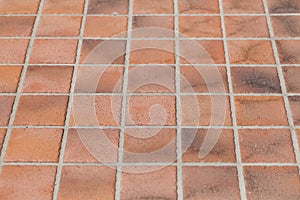 earthenware floor tile