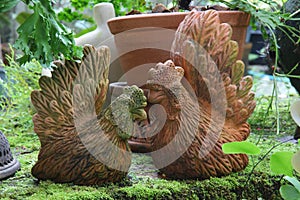 Earthenware in garden