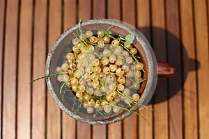 Earthenware jar full of white currents