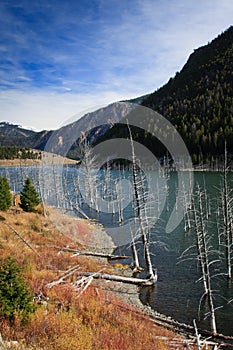 Earthquake Lake, Montana photo