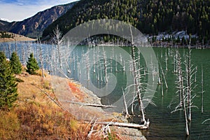 Earthquake Lake, Montana photo