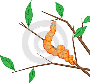 Earthworm on a branch
