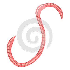 Earthworm illustration isolated on a white background