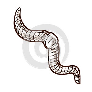 Earthworm monochrome outline sketch insect white vector illustration