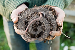 Earthworm on Mound of Dirt on Hands