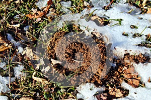 Earthworms soil mountain