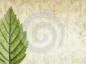 Earthy background image