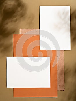 Earthy coloured minimalist mock up template.