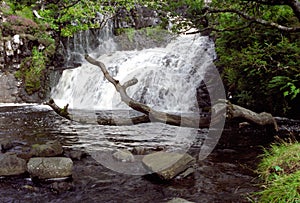 Eas Fors waterfall on Isle of Mull with pool and tree fallen tree trunk on foreground