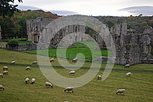 Easby Abbey near Richmond Yorkshire England UK