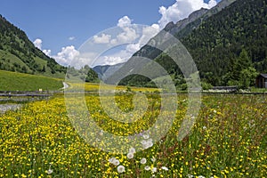 East Alpes at the Ferleiten area in Austria