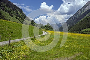 East Alpes at the Ferleiten area in Austria