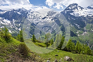 East Alpes at the Ferleiten area in Austria