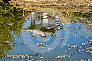 East Asian exposition in Arboretum Tesarske Mlynany, Slovakia