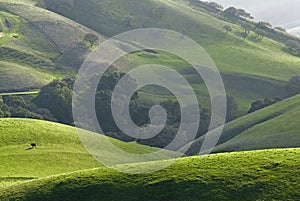 East bay farm land