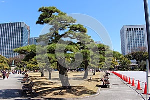 East Garden Imperial Palace Tokyo Japan