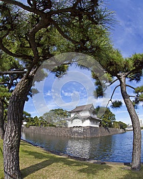 The East Garden of the Tokyo Imperial Palace in Japan