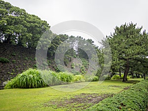 East Gardens of Imperial Palace, Tokyo, Japan