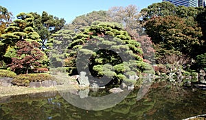 East Gardens of Imperial Palace, Tokyo, Japan photo