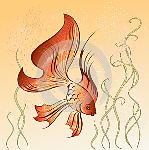 East goldfish