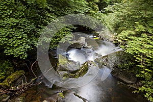 East Lyn river, Watersmeet, North Devon, UK