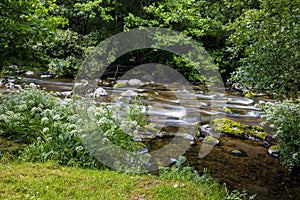 East Lyn river, Watersmeet, North Devon, UK