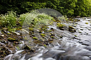 East Lyn river, Watersmeet, North Devon, UK