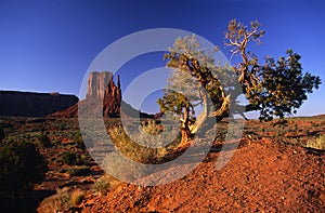 East Mitten Butte of Monument Valley