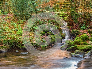 East Okement River tributary, Fatherford, Devon. Autumn.