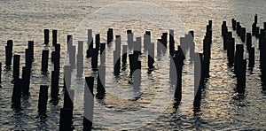 East River pier pilings remnants as photgraphed from Brooklyn Bridge Park