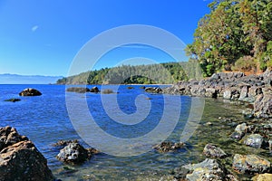 East Sooke Wilderness Park with Juan de Fuca Strait and Rugged Coast from Creyke Point, Vancouver Island, British Columbia