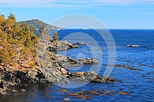 East Sooke Wilderness Park with Rugged South Coast along Juan de Fuca Strait, Vancouver Island, British Columbia, Canada