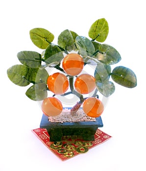East souvenir tangerine tree