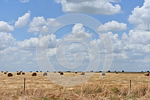 East Texas Hay Field