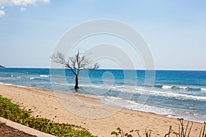 East Timor coastline photo