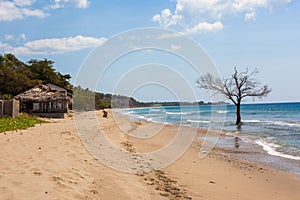 East Timor coastline photo