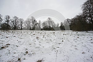 East town Park undr snow, Haverhil, Suffolk, UK, February 2021