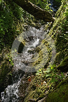 East Twin Brook Waterfall