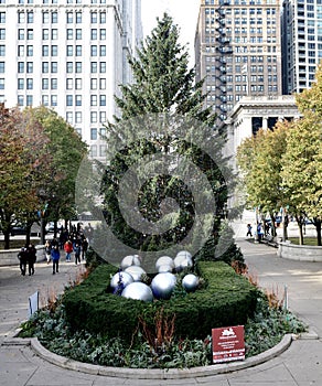 East View of Official Chicago Christmas Tree
