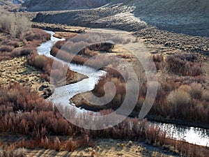 East Walker River in Western Nevada