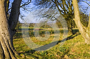 East Yorkshire Country Estate Parkland