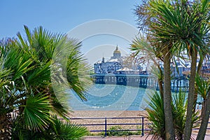 Eastbourne beach and Pier and palm trees