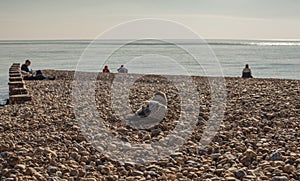 Eastbourne pier, East Sussex, England - a sunny day on a beach/seagulls.