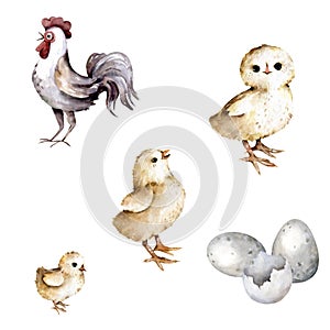 Easter animals. Goose, rooster, chickens, mouse, flowers. Happy Easter watercolor illustration