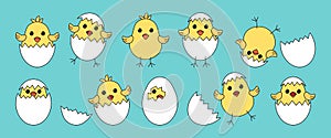 Easter baby chickens, cartoon eggs chick and shell on blue background. Vector