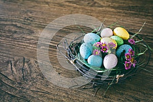 Easter background. Bright colorful eggs in nest with spring flowers over wooden dark background. Selective focus with